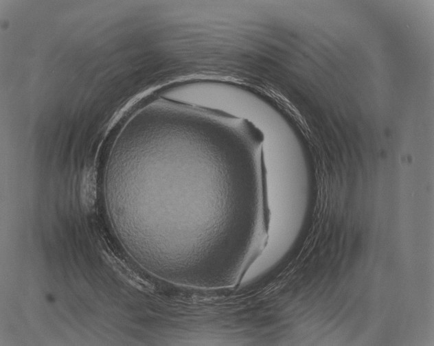 X0000083660484200703121815