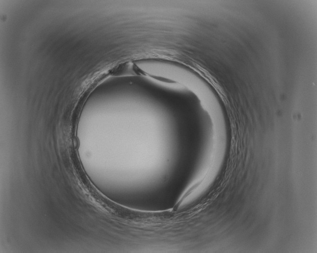 X0000083660485200703121815