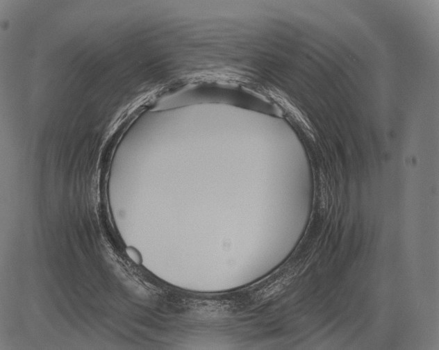 X0000083660486200703121815