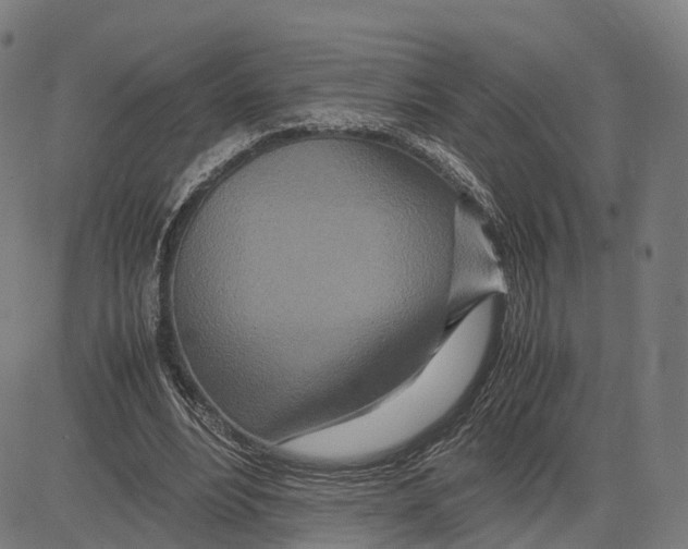 X0000083660488200703121815