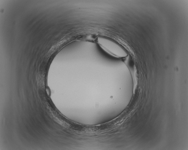 X0000083660489200703121815