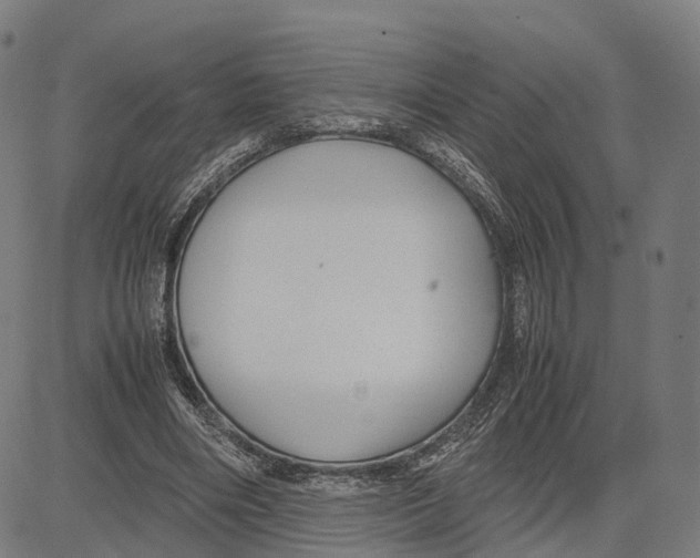 X0000083660490200703121815