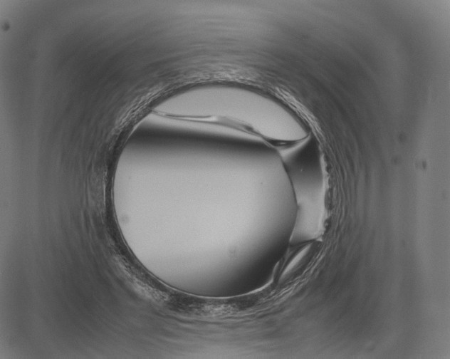 X0000083660493200703121815