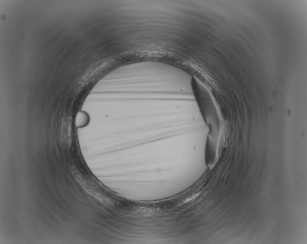 X0000083660494200703121815