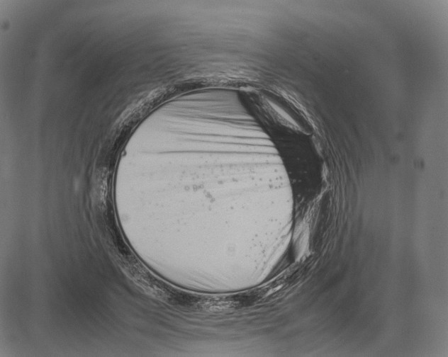 X0000083660495200703121815