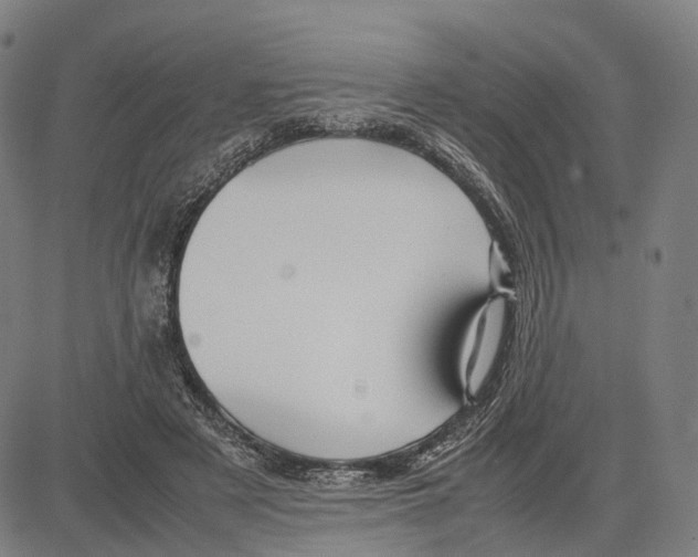 X0000083660497200703121815