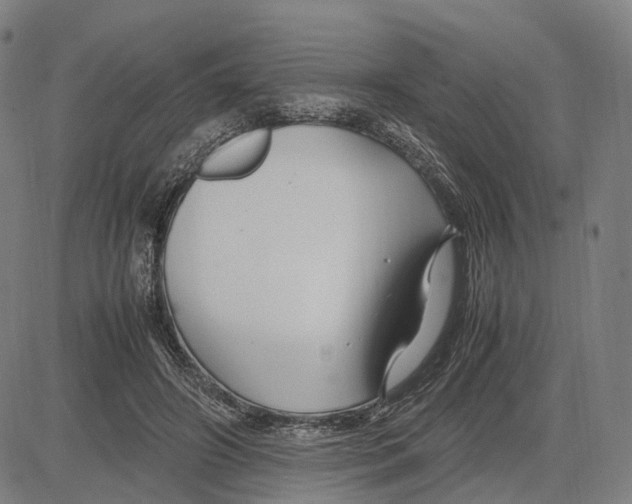 X0000083660498200703121815