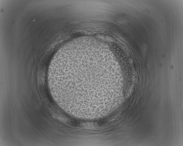 X0000083660499200703121815