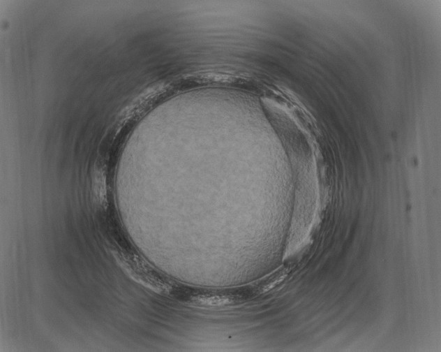 X0000083660500200703121815