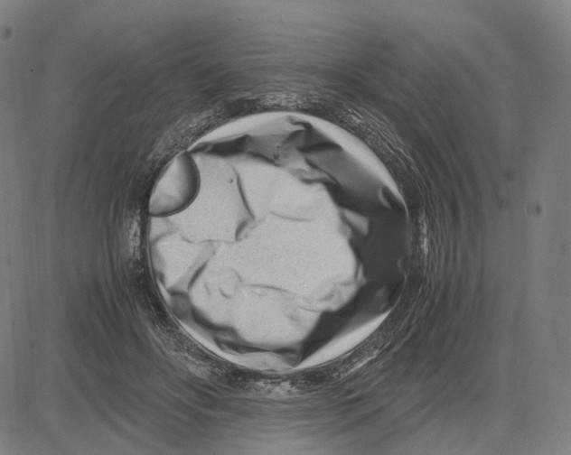 X0000083660502200703121815