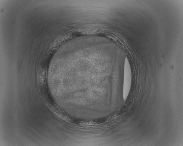 X0000083660503200703121815