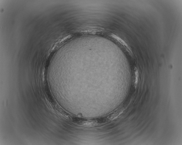 X0000083660504200703121815