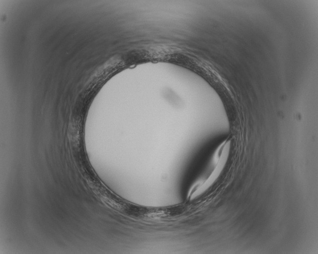 X0000083660505200703121815