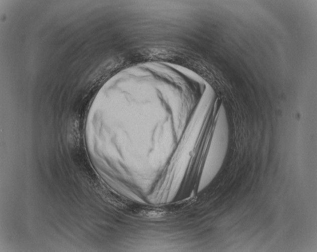 X0000083660506200703121815