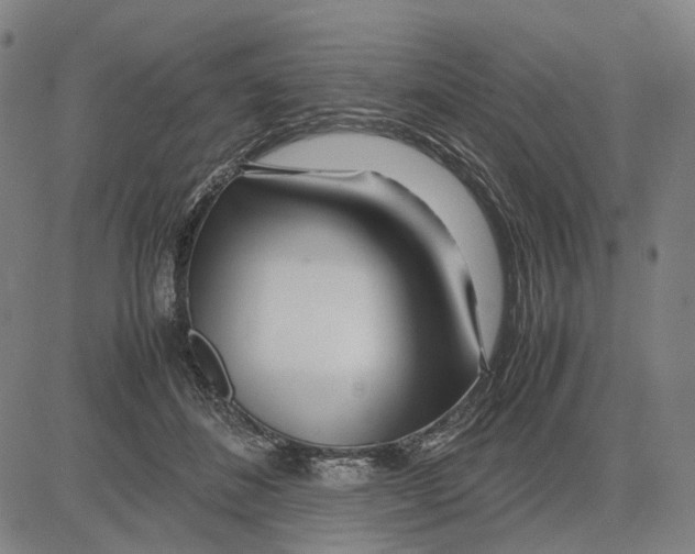 X0000083660508200703121815