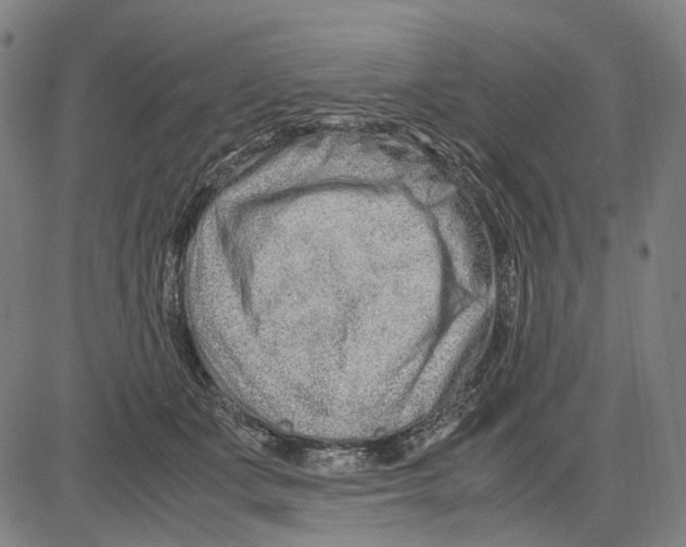 X0000083660511200703121815