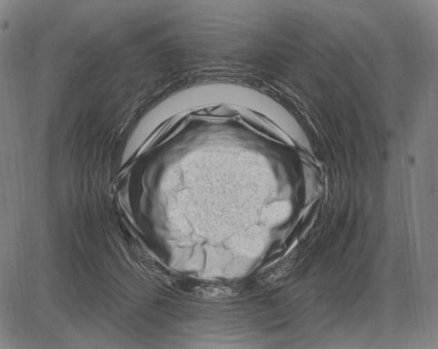 X0000083660512200703121815