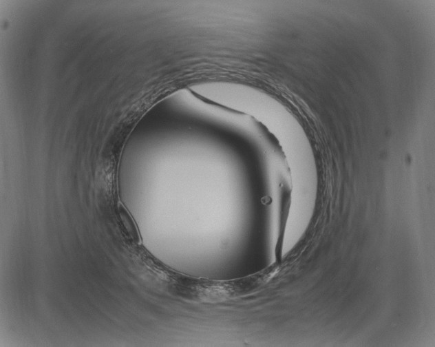 X0000083660513200703121815