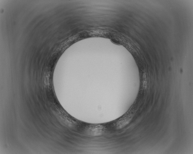 X0000083660514200703121815