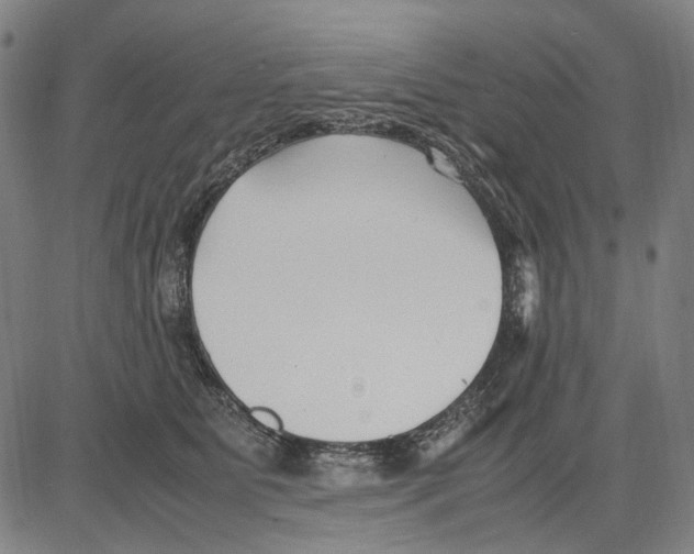 X0000083660515200703121815