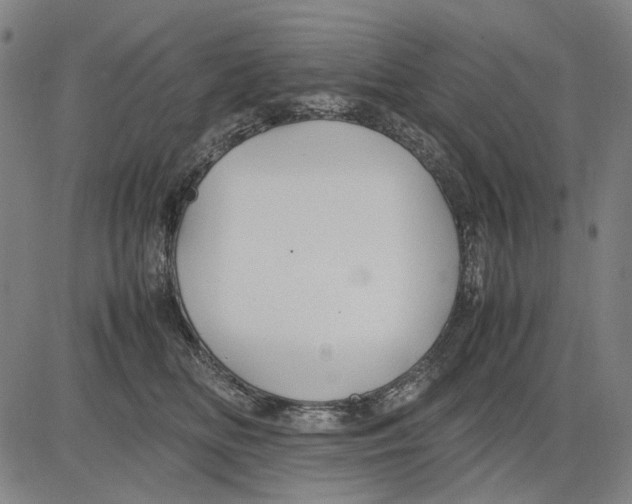 X0000083660518200703121815