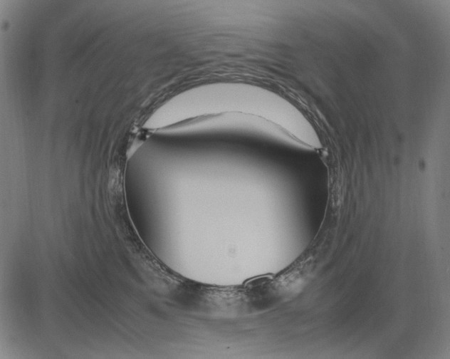 X0000083660521200703121815