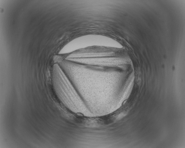 X0000083660523200703121815