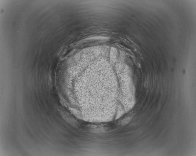 X0000083660524200703121815