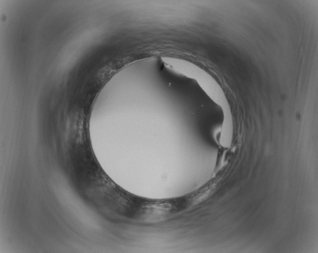 X0000083660525200703121815