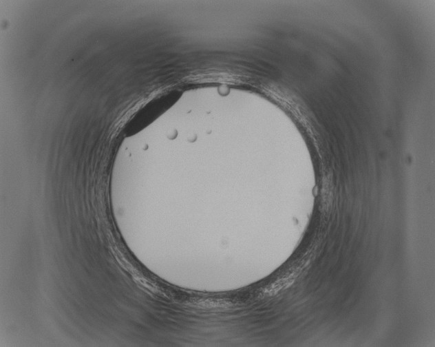 X0000083660529200703121814