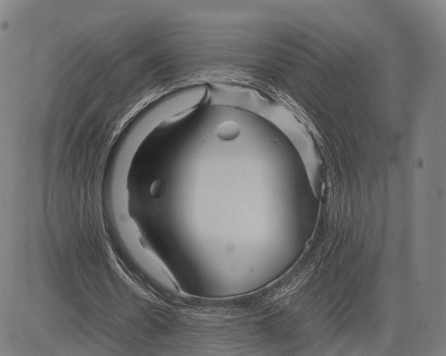 X0000083660530200703121814