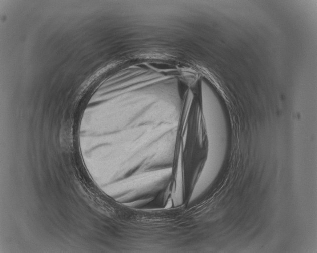 X0000083660531200703121814