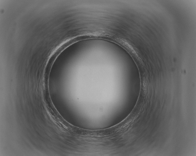 X0000083660532200703121814