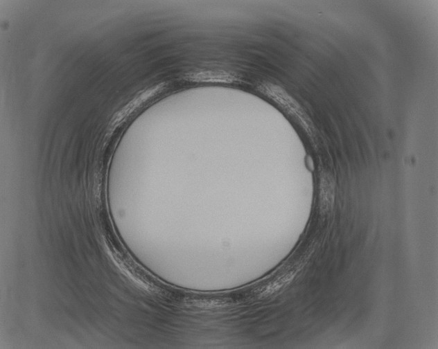 X0000083660533200703121814