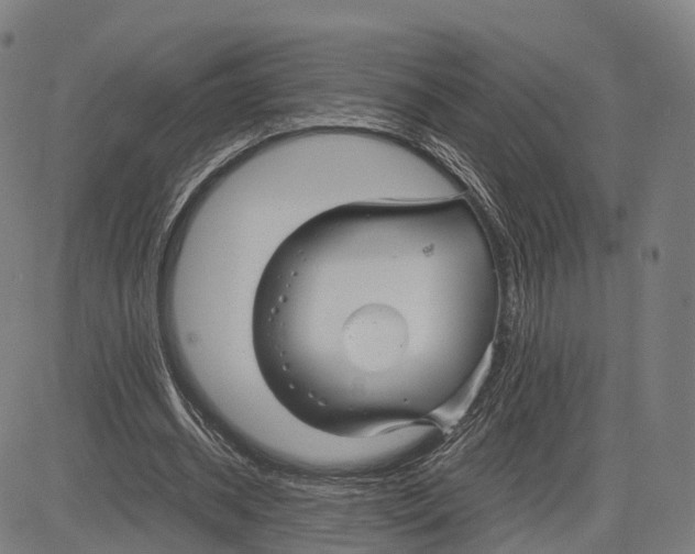 X0000083660534200703121814