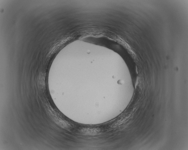 X0000083660537200703121814