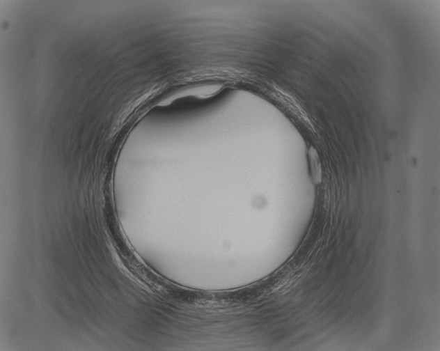 X0000083660538200703121814