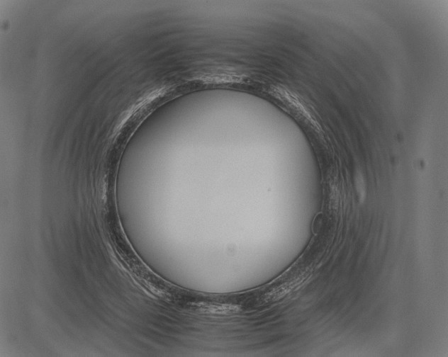 X0000083660539200703121814