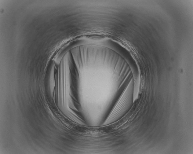 X0000083660540200703121814