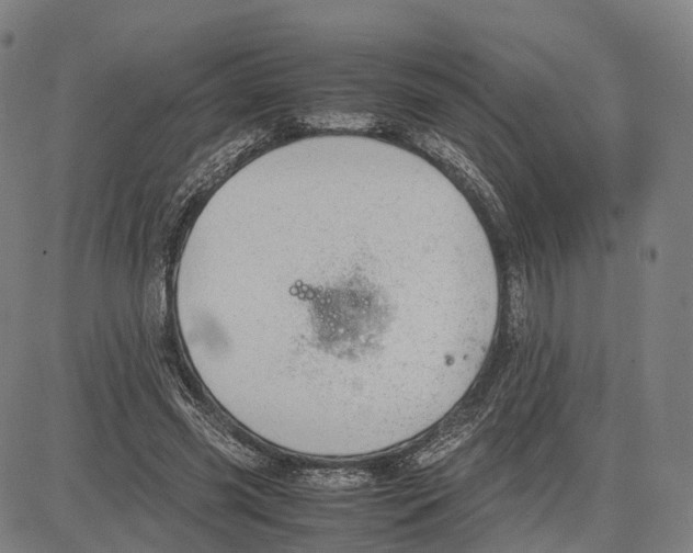 X0000083660541200703121814