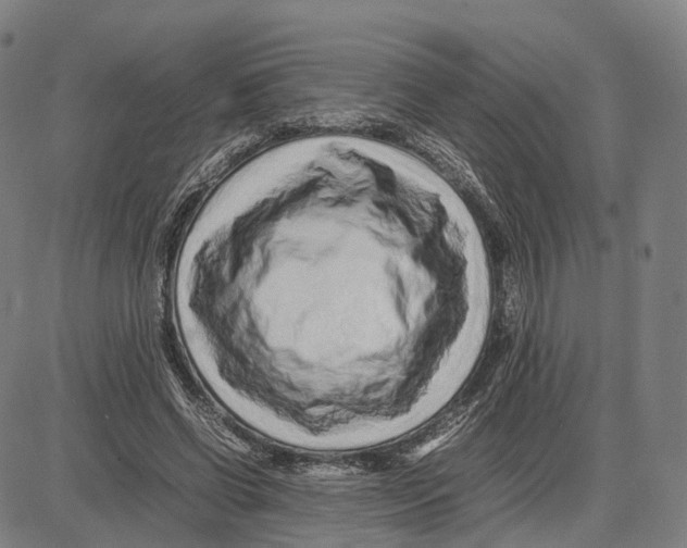 X0000083660542200703121814