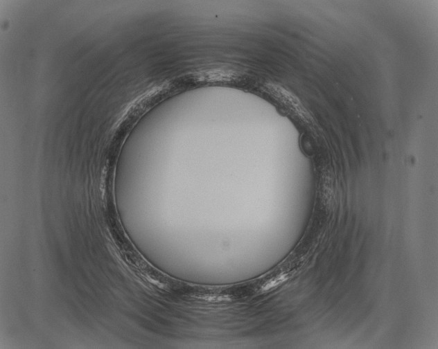 X0000083660543200703121814