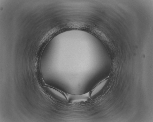 X0000083660544200703121814