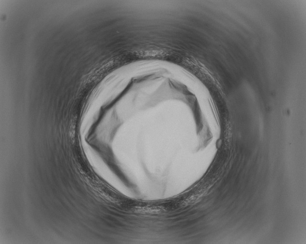 X0000083660545200703121814