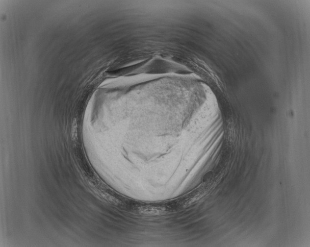 X0000083660549200703121814