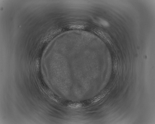 X0000083660551200703121814