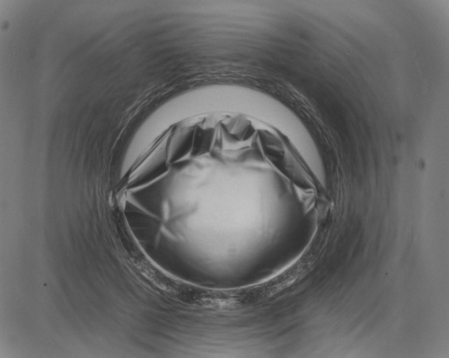 X0000083660552200703121814