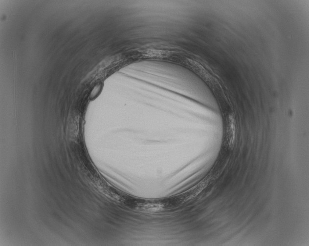 X0000083660554200703121814