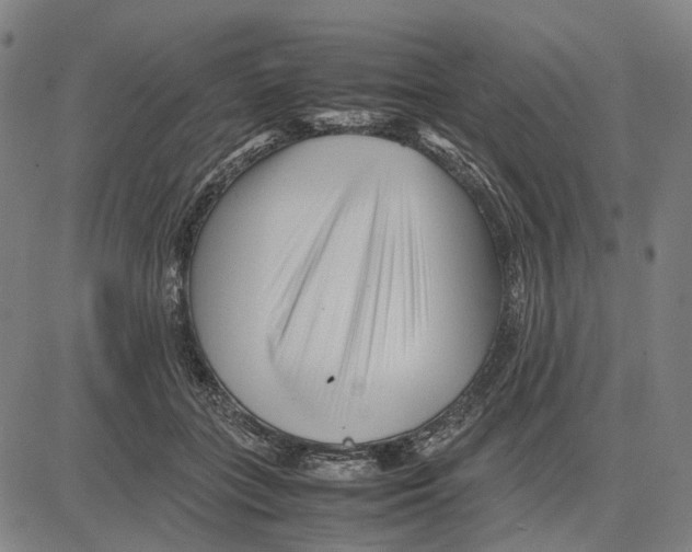 X0000083660555200703121814