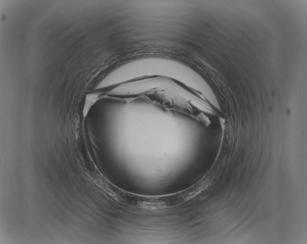 X0000083660556200703121814